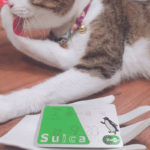 Suica Charge1